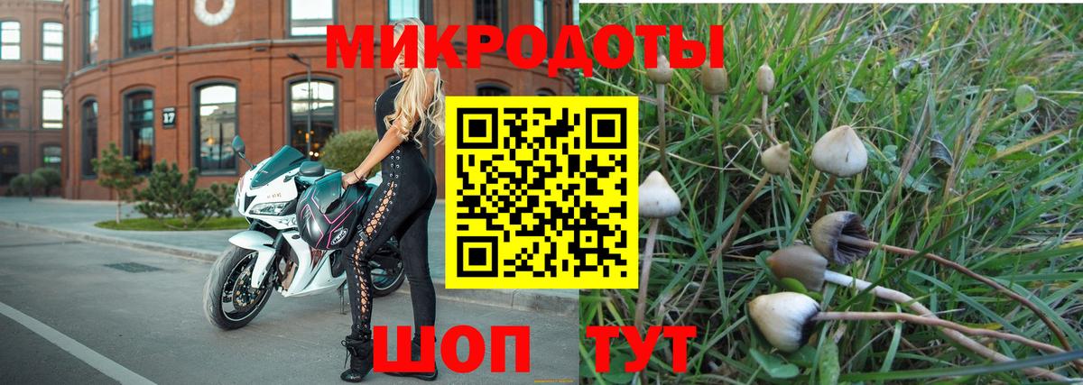 Псилоцибиновые грибы мицелий  Вход с VPN  Губкинский 